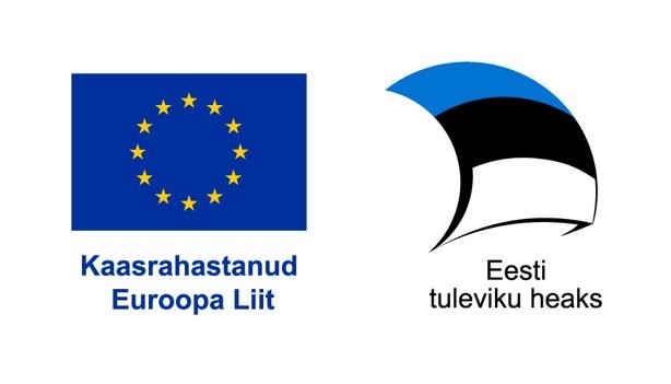 Digitalization of Fleibel Group OÜ